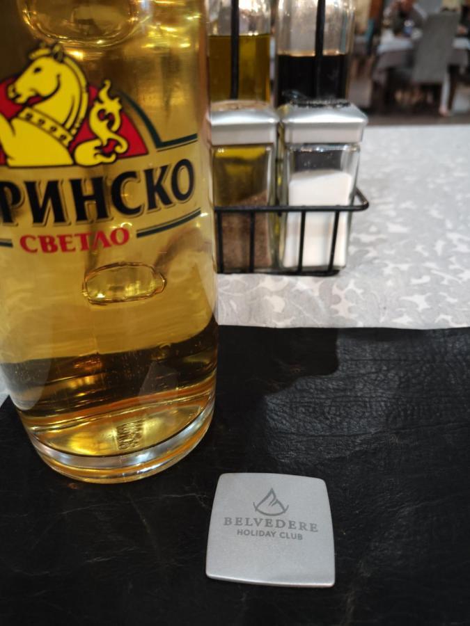 Bansko Belvedere Apartament 外观 照片